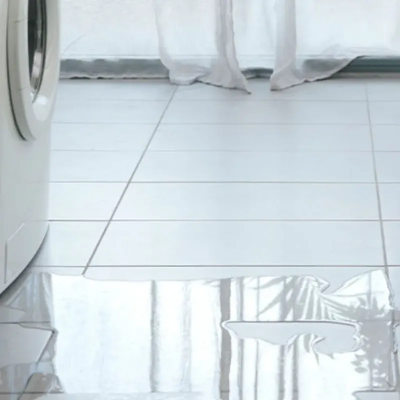 Appliance Leak Cleanup in Richwood, LA